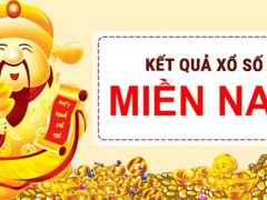 lô gan lì miền nam siêu chuẩn